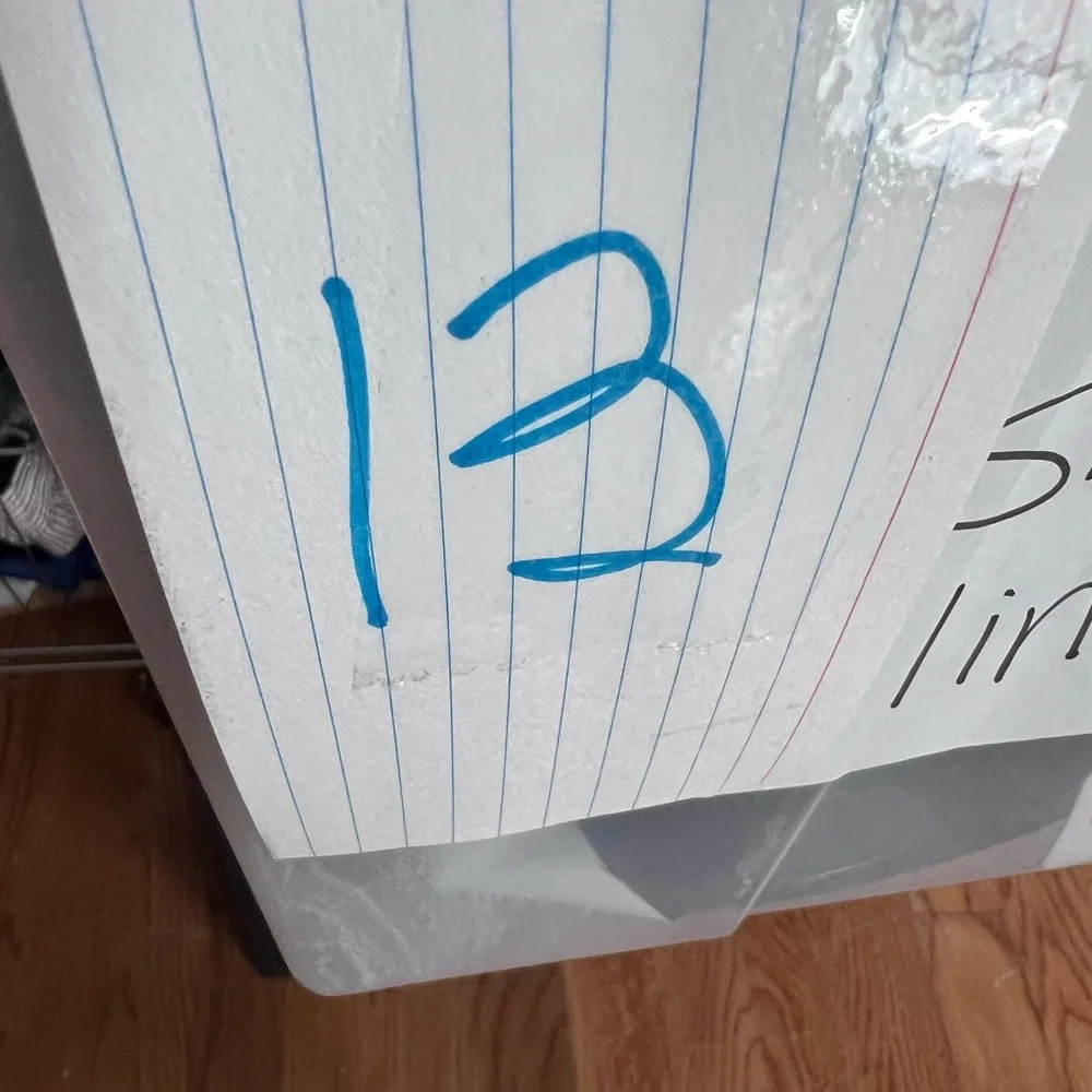H&M 2 pack gloves size 2-4t